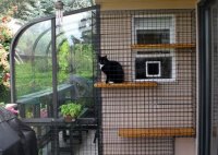 Diy Patio Cat Enclosure