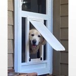 Patio Screen Door With Built In Doggie